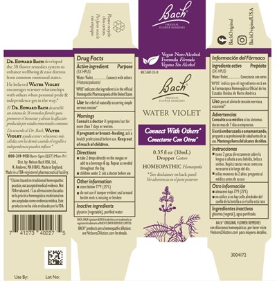 Bach Original Flower Remedies Water Violet (Water Violet)